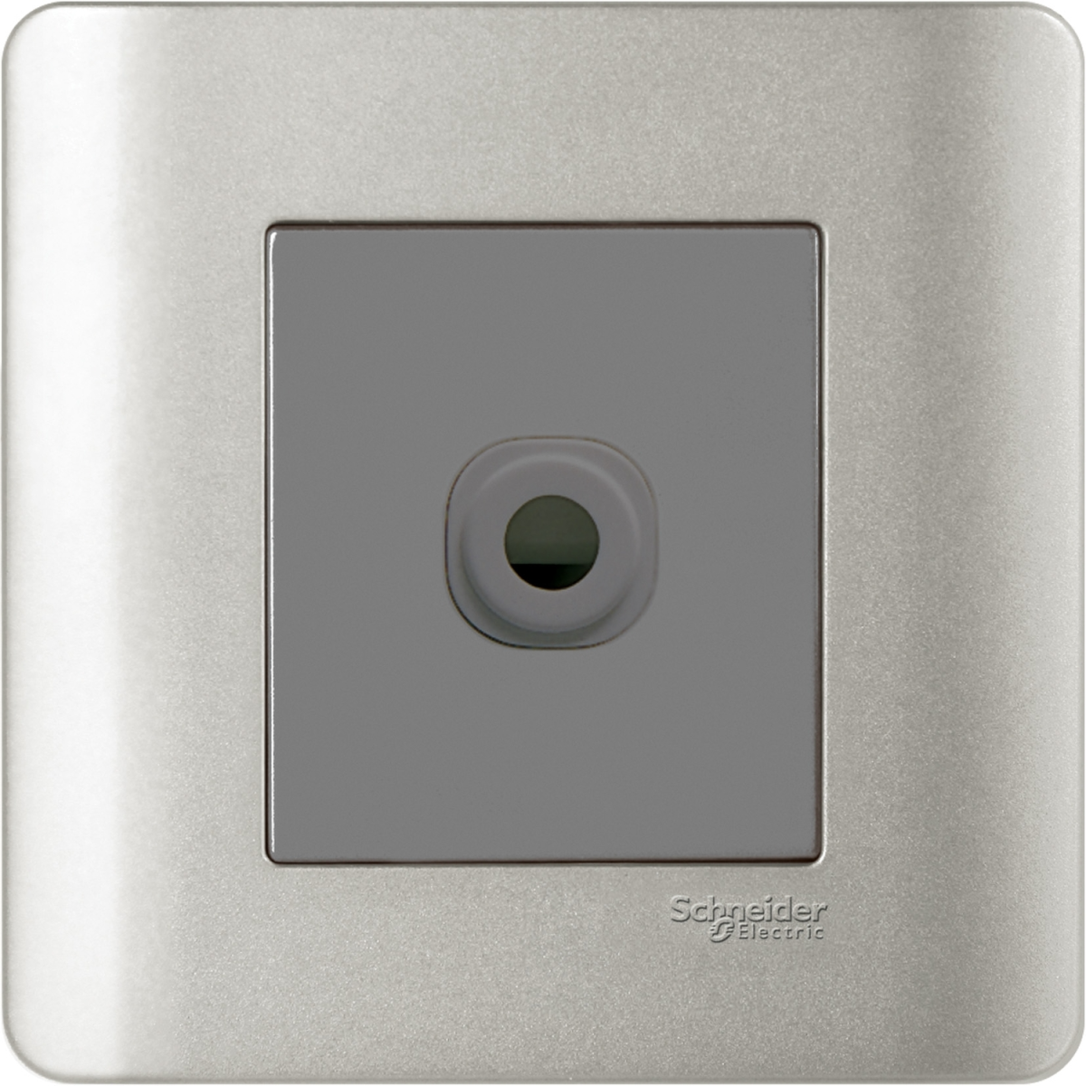 Schneider Electric 施耐德電氣 E8431TB SA Zencelo 25A 單位接線蘇 (銀灰)